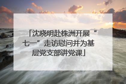 沈晓明赴株洲开展“七一”走访慰问并为基层党支部讲党课