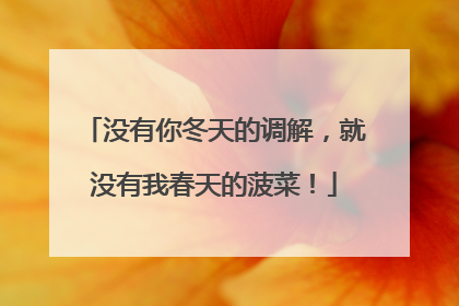 没有你冬天的调解，就没有我春天的菠菜！