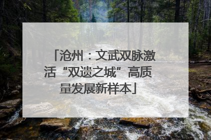 沧州：文武双脉激活“双遗之城”高质量发展新样本