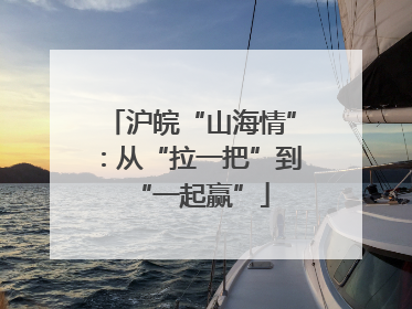 沪皖“山海情”：从“拉一把”到“一起赢”