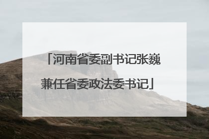 河南省委副书记张巍兼任省委政法委书记