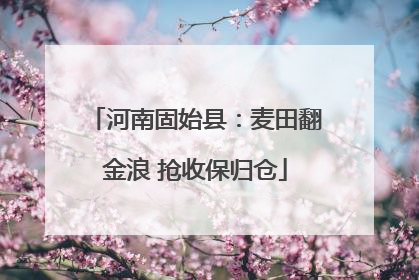 河南固始县：麦田翻金浪 抢收保归仓