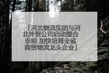 河北物流集团与河北外贸公司启动整合重组 加快培育全省商贸物流龙头企业