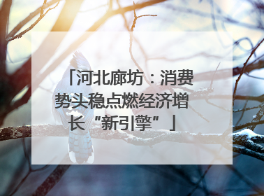 河北廊坊：消费势头稳点燃经济增长“新引擎”