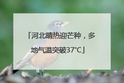 河北晴热迎芒种，多地气温突破37℃