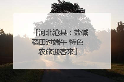 河北沧县：盐碱稻田过端午 特色农旅迎客来