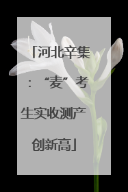 河北辛集：“麦”考生实收测产创新高