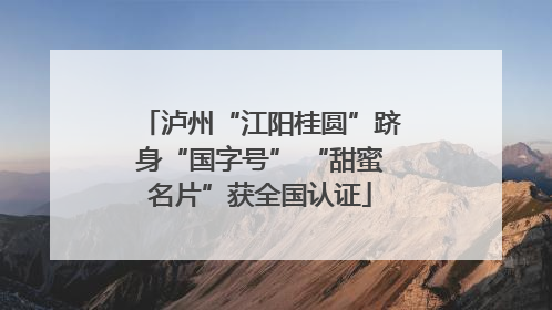 泸州“江阳桂圆”跻身“国字号” “甜蜜名片”获全国认证
