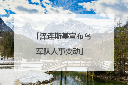 泽连斯基宣布乌军队人事变动