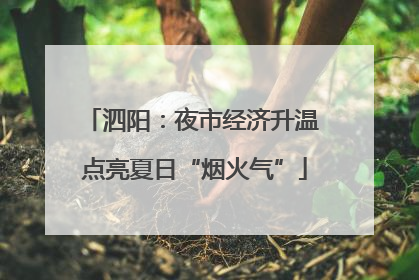 泗阳：夜市经济升温 点亮夏日“烟火气”