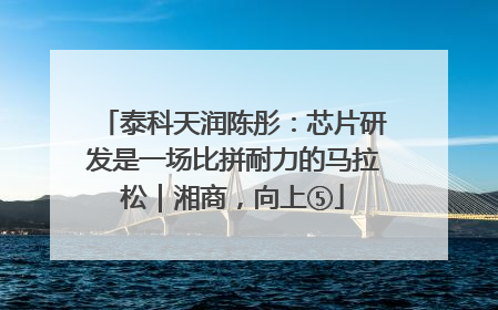 泰科天润陈彤：芯片研发是一场比拼耐力的马拉松｜湘商，向上⑤