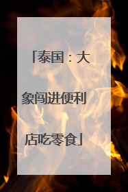泰国：大象闯进便利店吃零食