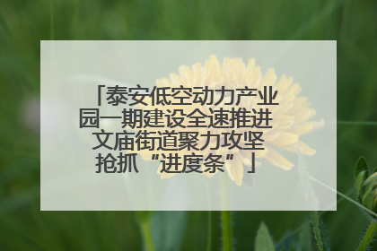 泰安低空动力产业园一期建设全速推进 文庙街道聚力攻坚抢抓“进度条”