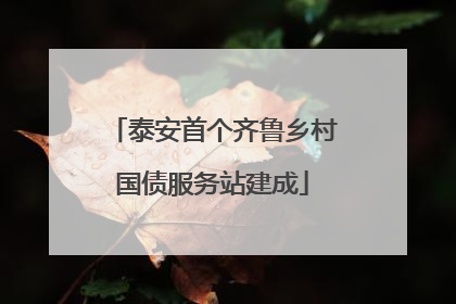 泰安首个齐鲁乡村国债服务站建成