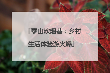 泰山炊烟巷：乡村生活体验游火爆