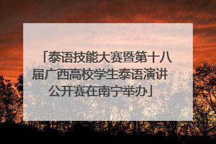泰语技能大赛暨第十八届广西高校学生泰语演讲公开赛在南宁举办