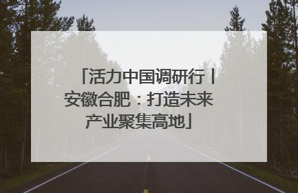 活力中国调研行丨安徽合肥：打造未来产业聚集高地
