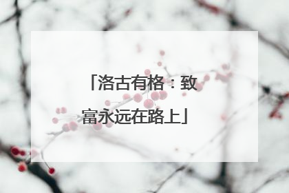洛古有格：致富永远在路上