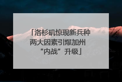 洛杉矶惊现新兵种 两大因素引爆加州“内战”升级