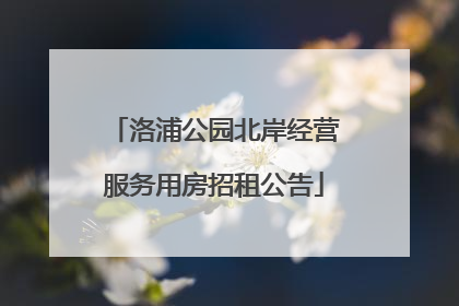 洛浦公园北岸经营服务用房招租公告