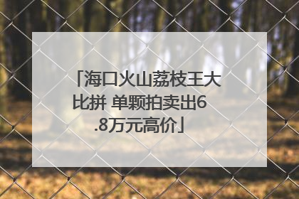 海口火山荔枝王大比拼 单颗拍卖出6.8万元高价