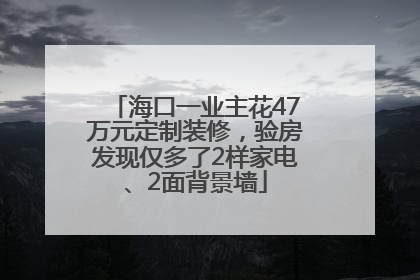 海口一业主花47万元定制装修，验房发现仅多了2样家电、2面背景墙
