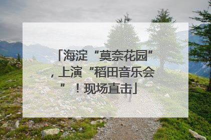 海淀“莫奈花园”，上演“稻田音乐会”！现场直击