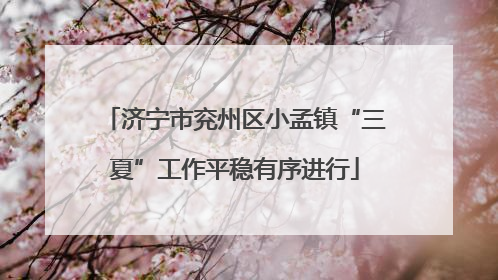 济宁市兖州区小孟镇“三夏”工作平稳有序进行