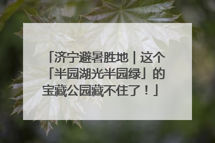 济宁避暑胜地｜这个「半园湖光半园绿」的宝藏公园藏不住了！