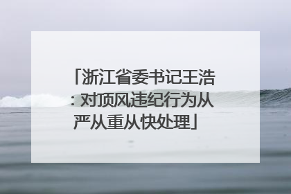 浙江省委书记王浩：对顶风违纪行为从严从重从快处理