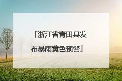 浙江省青田县发布暴雨黄色预警