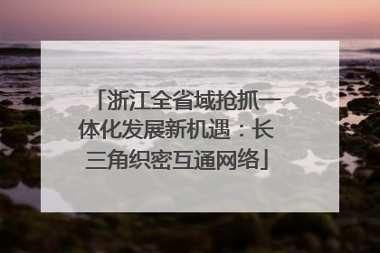 浙江全省域抢抓一体化发展新机遇：长三角织密互通网络