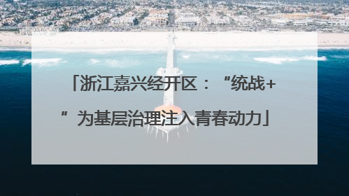 浙江嘉兴经开区：“统战+”为基层治理注入青春动力