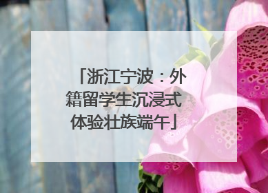 浙江宁波：外籍留学生沉浸式体验壮族端午