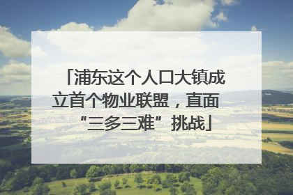 浦东这个人口大镇成立首个物业联盟，直面“三多三难”挑战