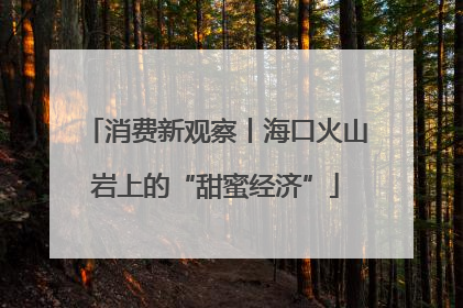 消费新观察丨海口火山岩上的“甜蜜经济”
