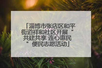 淄博市张店区和平街道祥和社区开展“共建共享 连心惠民”便民志愿活动
