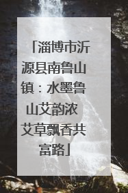 淄博市沂源县南鲁山镇：水墨鲁山艾韵浓 艾草飘香共富路