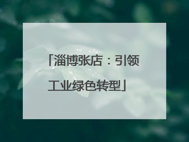 淄博张店：引领工业绿色转型