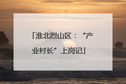 淮北烈山区：“产业村长”上岗记