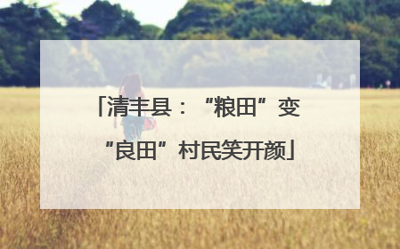 清丰县：“粮田”变“良田”村民笑开颜
