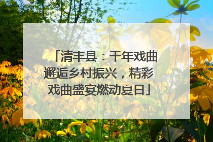 清丰县：千年戏曲邂逅乡村振兴，精彩戏曲盛宴燃动夏日