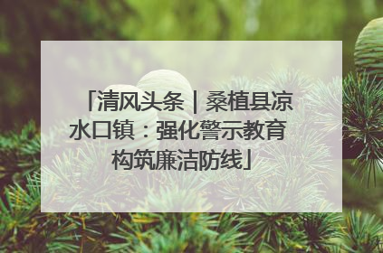 清风头条｜桑植县凉水口镇：强化警示教育 构筑廉洁防线