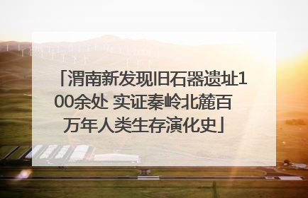 渭南新发现旧石器遗址100余处 实证秦岭北麓百万年人类生存演化史