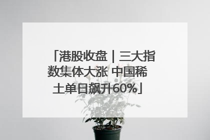 港股收盘｜三大指数集体大涨 中国稀土单日飙升60%