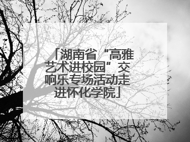 湖南省“高雅艺术进校园”交响乐专场活动走进怀化学院