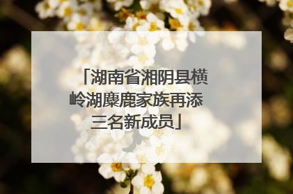 湖南省湘阴县横岭湖麋鹿家族再添三名新成员