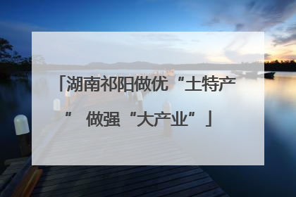 湖南祁阳做优“土特产” 做强“大产业”