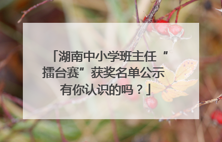 湖南中小学班主任“擂台赛”获奖名单公示 有你认识的吗？