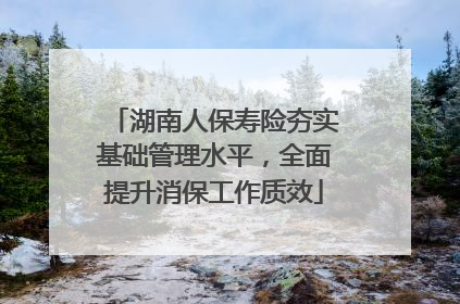 湖南人保寿险夯实基础管理水平，全面提升消保工作质效